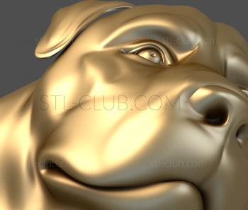 3D model Rottweller's face (STL)